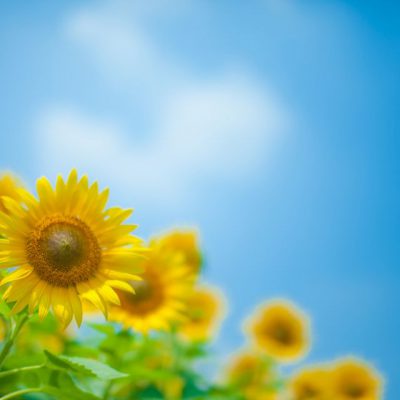 みなさんの胃腸は大丈夫?