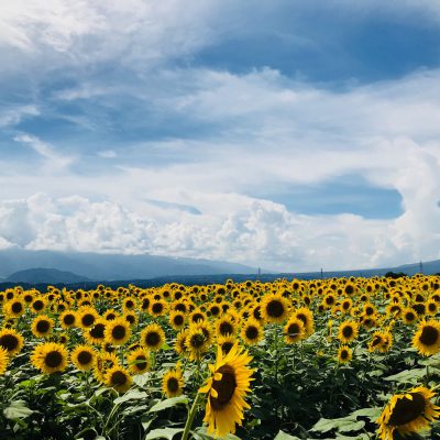 美白の季節 part5!