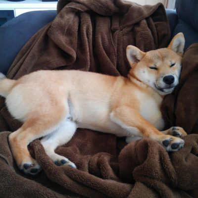 寝ている間がチャンス！！