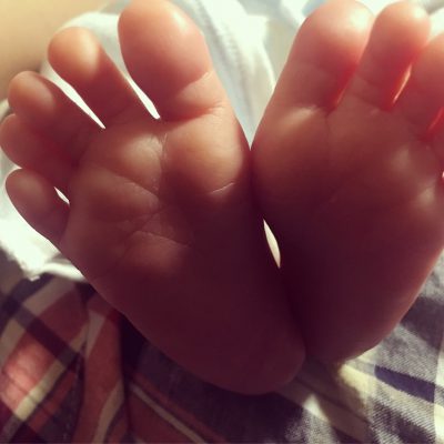 ちいさないのち