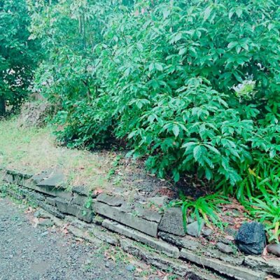 お肌にいい睡眠