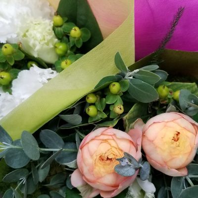 イキイキ輝き素材だより・HAPPYラッシュ