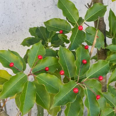 前かがみがたるみの原因、解消して若返り