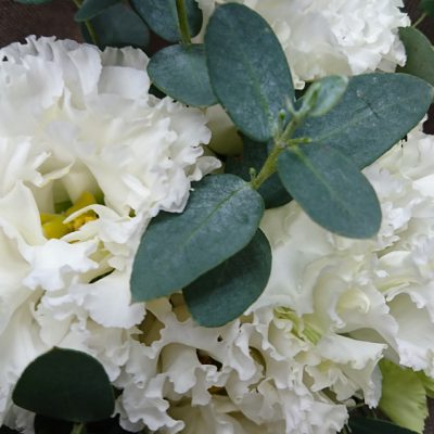 最高のドレス姿を