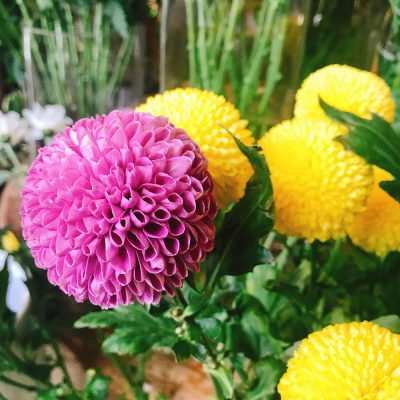 お花のある生活♪