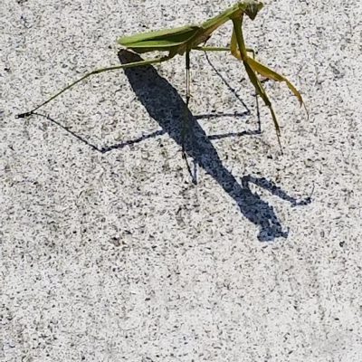 イキイキ輝き素材だより・最近のアンテナ