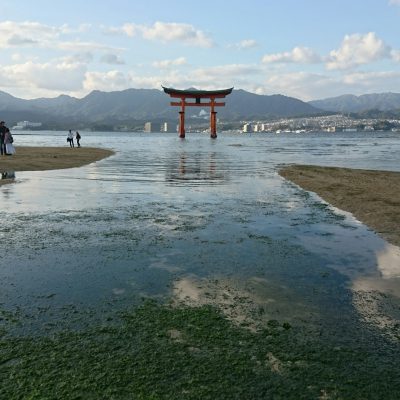 イキイキ輝き素材だより・タビ編その１