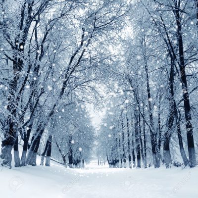 エラスチンでハリのあるお肌に