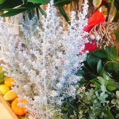 こんなお花を見つけました！