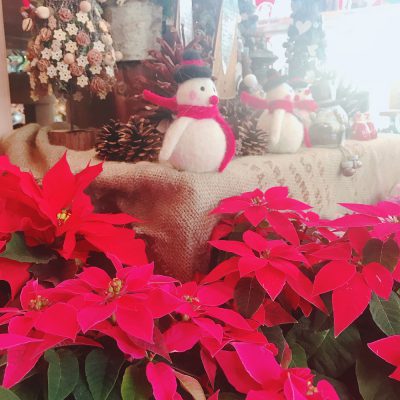 今限定！佐鳴台店に来たら〇〇を探せ！