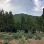 心身共に楽しんで痩せたい人、必見！