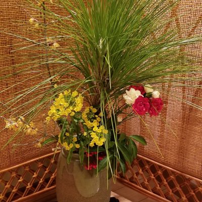 明けましておめでとうございます！