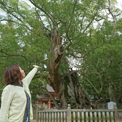 【イキイキ輝き素材だより・タビ編その２】