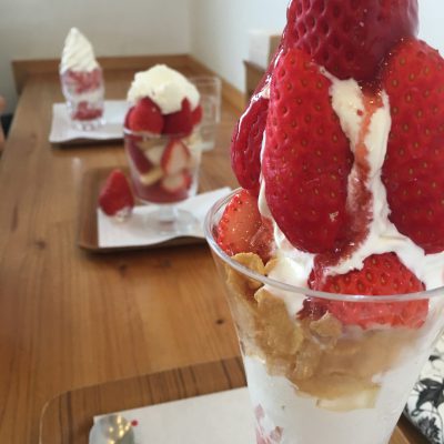 シミ対策にビタミン