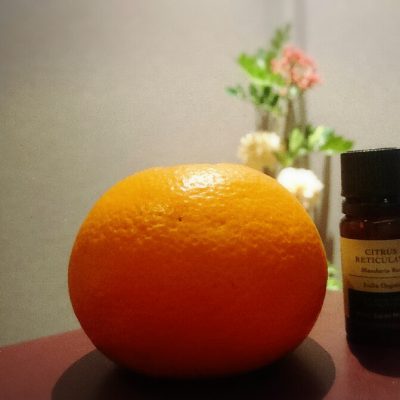 元気になりますよ