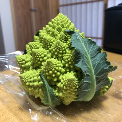 旬の食材～２月～