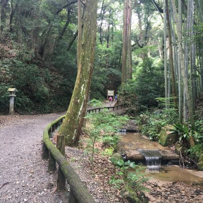 歳を重ねる事を楽しめるように