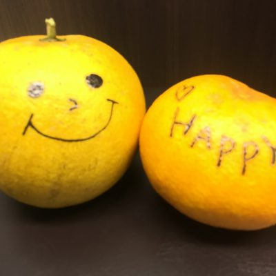 元気がでるBIGミカン!