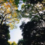 『平成』に感謝♪