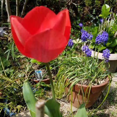 イキイキ輝き素材だより・何かを始めてみる