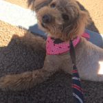 歩き方を見直そう^^