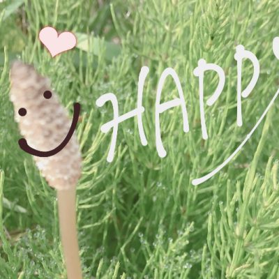 “笑い”がもたらす効果