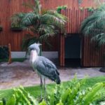 ～静岡の穴場スポット～　