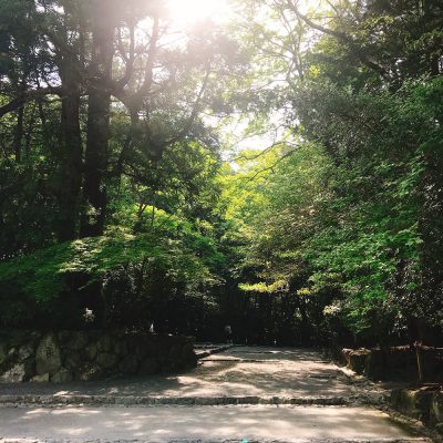 パワーチャージ(*´ω`*)