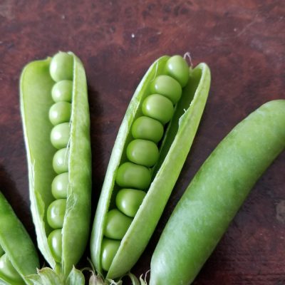 小腹と薬膳とワタシ・優しい小腹編