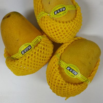 美容×マンゴー