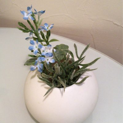 心のうるおい、季節のお花が届きました