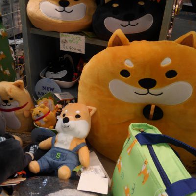 テンション上がる！！