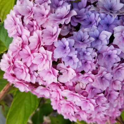 イキイキ輝き素材だより・見回して気付くこと