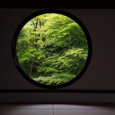 ストレスは避けましょう