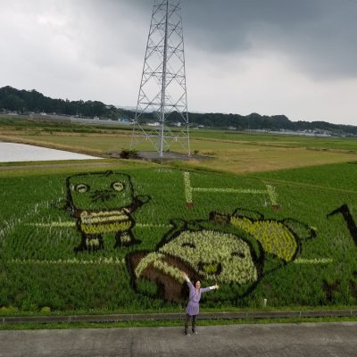 イキイキ輝き素材だより・少し変えてみること