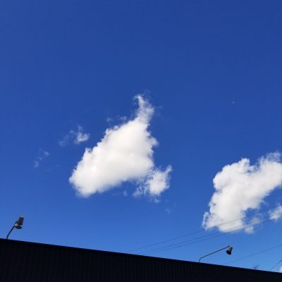 小腹と薬膳とワタシ・夏の土用