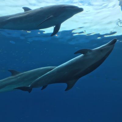 ぐっすり睡眠出来ていますか?