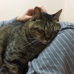 お手入れの魅力