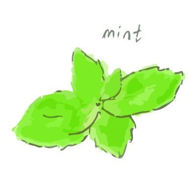 ラジェの夏といえば！！