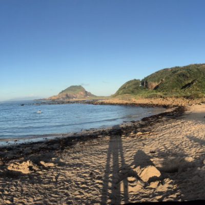 ミントパック☆