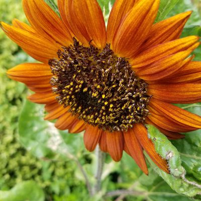 イキイキ輝き素材だより・好きな時、好きな色