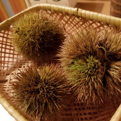 小腹と薬膳とワタシ・秋を迎える