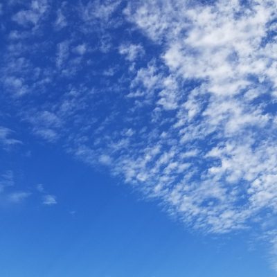 小腹と薬膳とワタシ・今の自分を見つめてみる