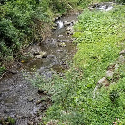 イキイキ輝き素材だより・季節の変わり目には
