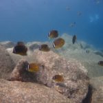 『気分転換と肌の調子』