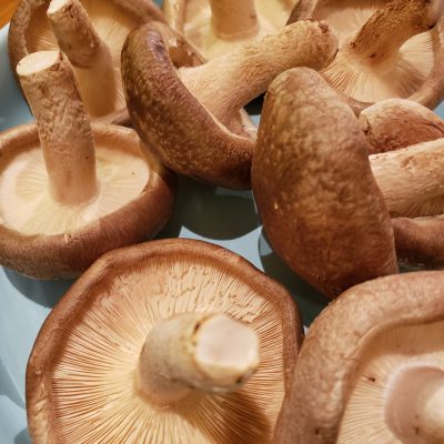 秋の食べ物　　パートⅡ