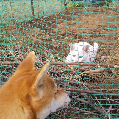 初めてって 緊張する～番外編