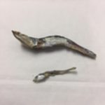 健康と美容への道のり