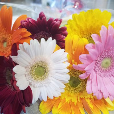 イキイキ輝き素材だより・１０月に想った事