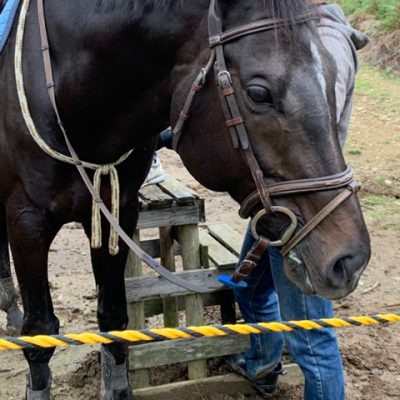 鈴木30代への道のり☆⑥